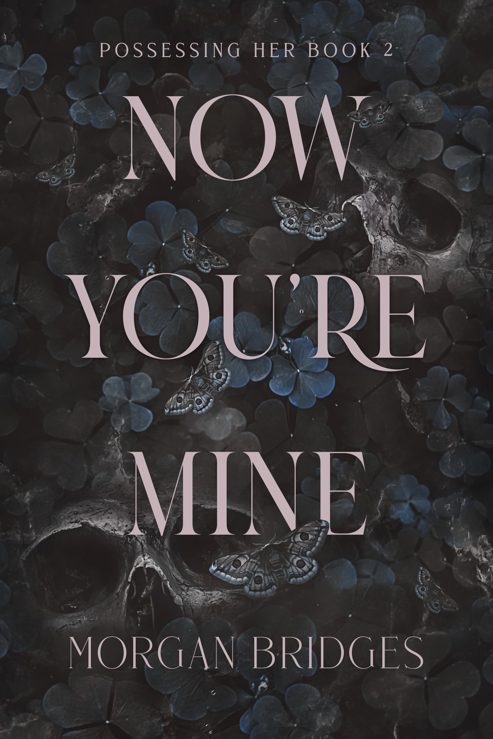 Now You're Mine: A Dark Stalker Romance (Possessing Her Book 2) Cover